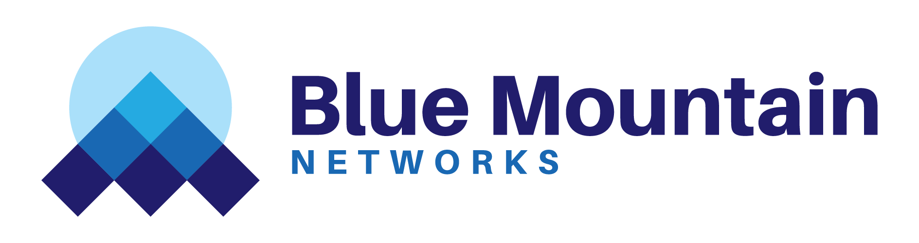 Blue Mountain Networks